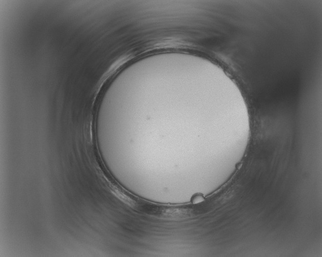 X0000056331322200509021619