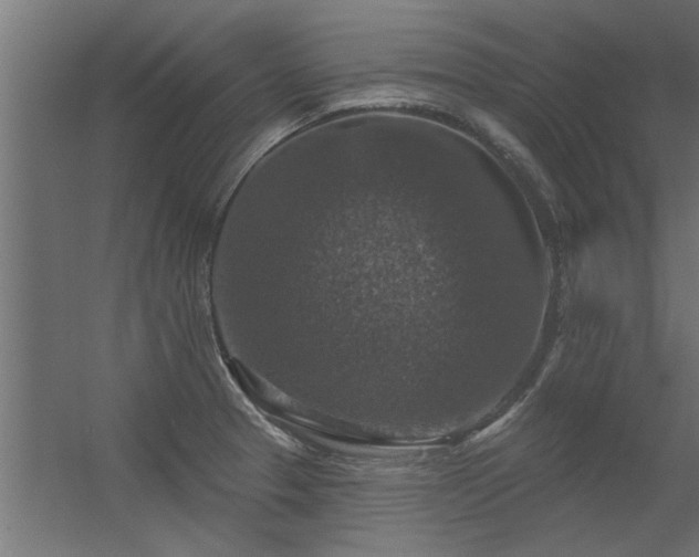 X0000056331329200509021619