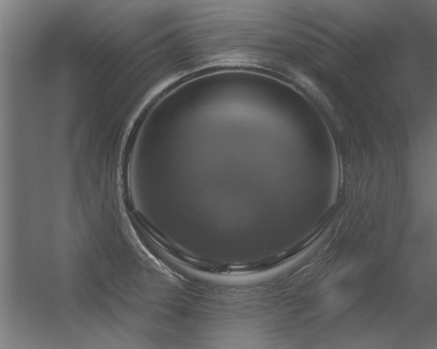 X0000056331331200509021619