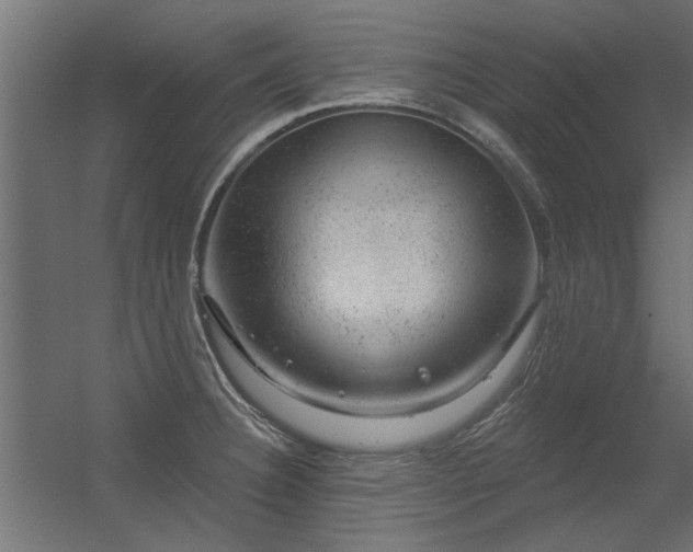 X0000056331332200509021619