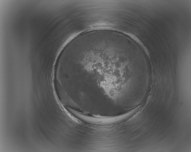 X0000056331333200509021619