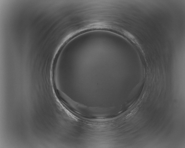 X0000056331334200509021619