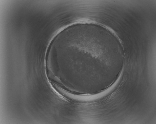 X0000056331335200509021619