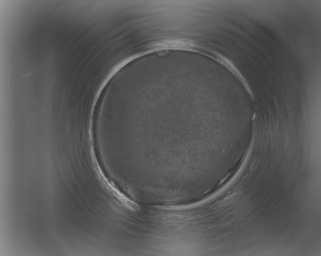 X0000056331339200509021619