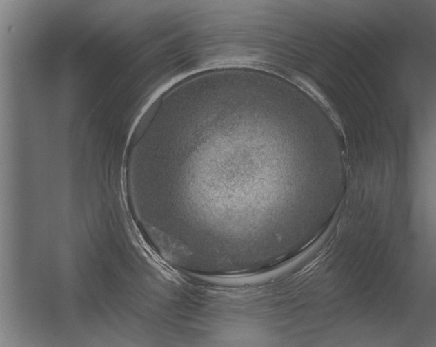 X0000056331340200509021619