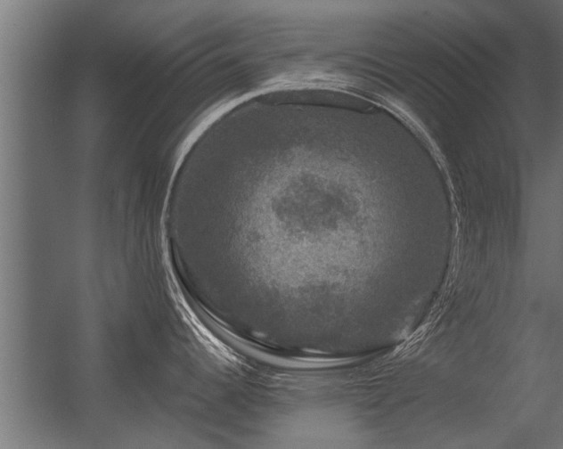 X0000056331344200509021619