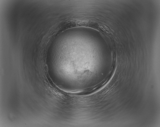 X0000056331345200509021618