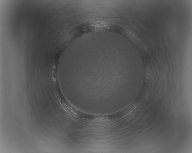 X0000056331346200509021618