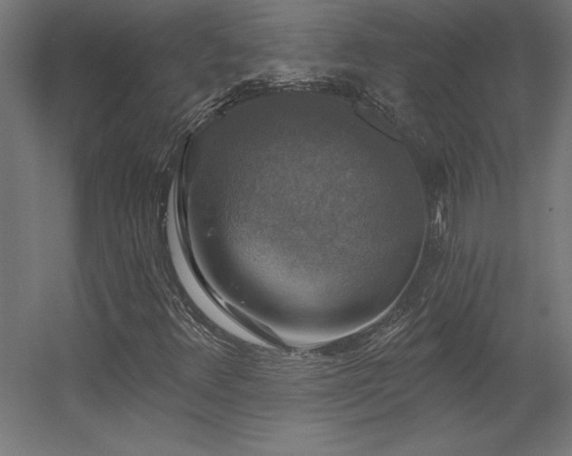 X0000056331348200509021618