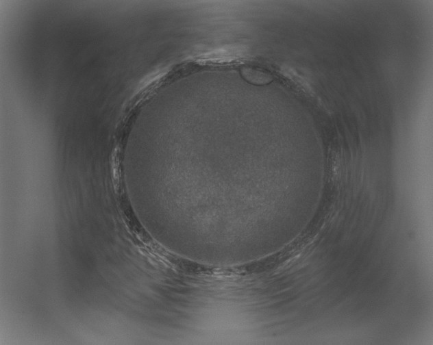 X0000056331350200509021618