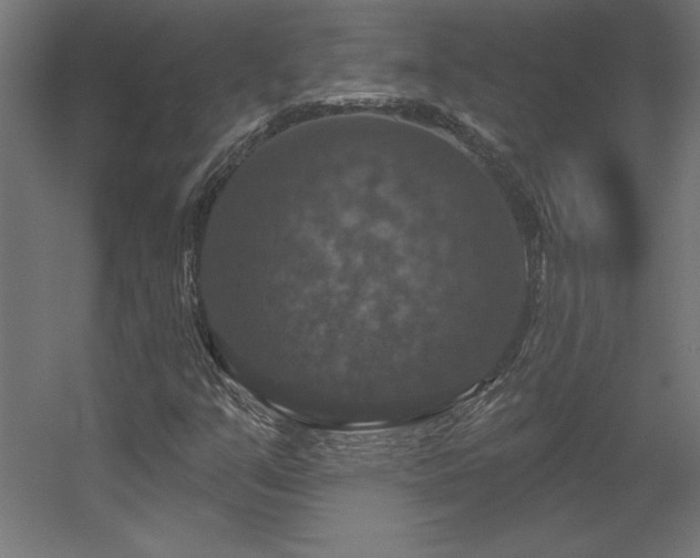 X0000056331351200509021618