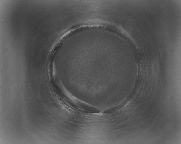 X0000056331352200509021618