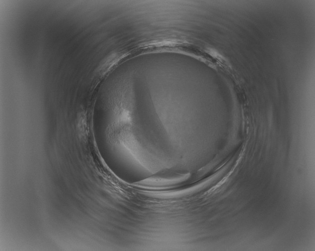 X0000056331353200509021618