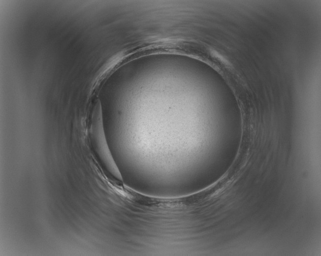 X0000056331354200509021618