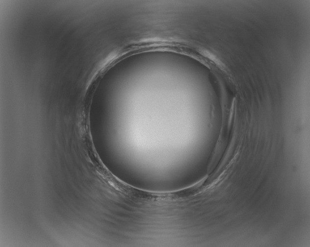 X0000056331357200509021618