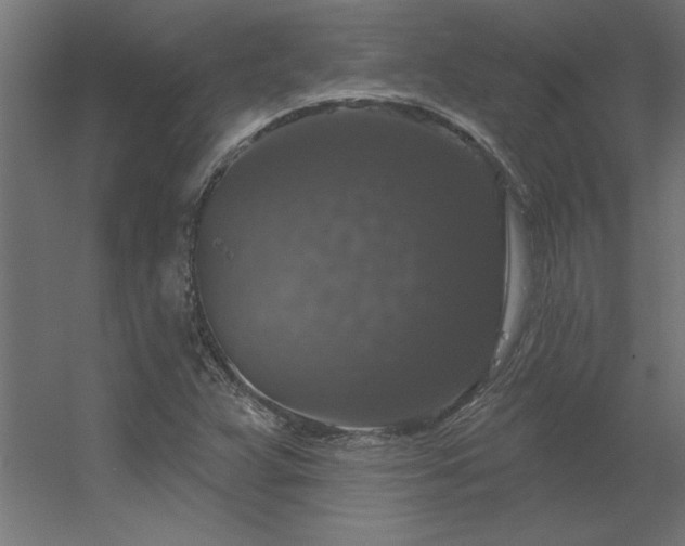 X0000056331359200509021618