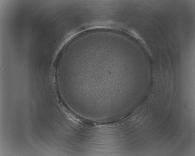 X0000056331360200509021618