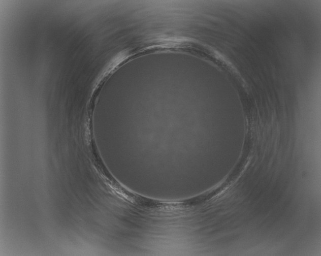 X0000056331362200509021618