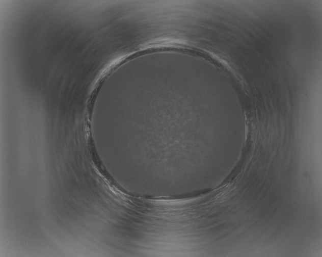 X0000056331363200509021618