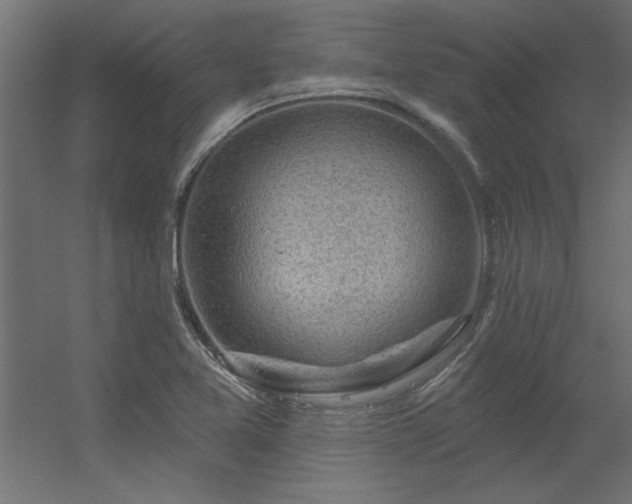 X0000056331365200509021618