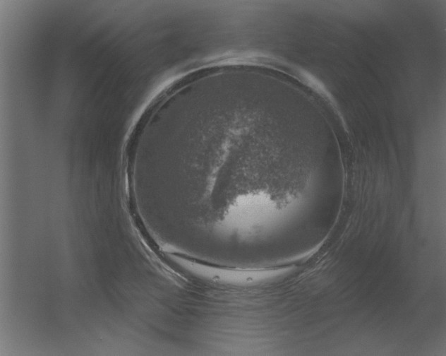 X0000056331368200509021618