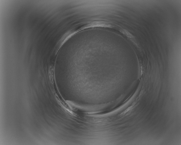 X0000056331369200509021618