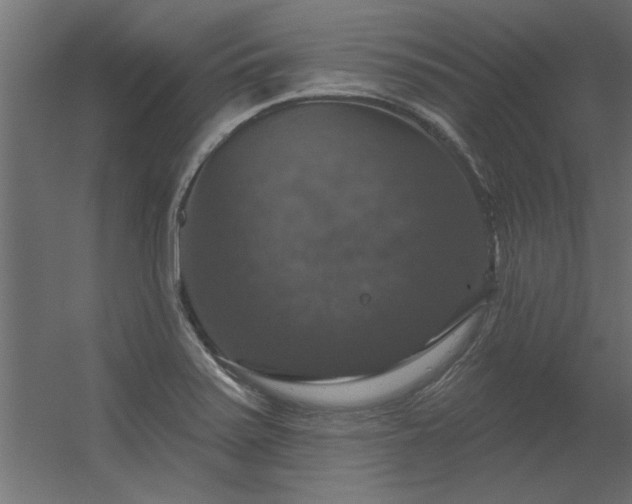 X0000056331371200509021618