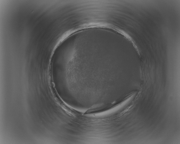 X0000056331373200509021618