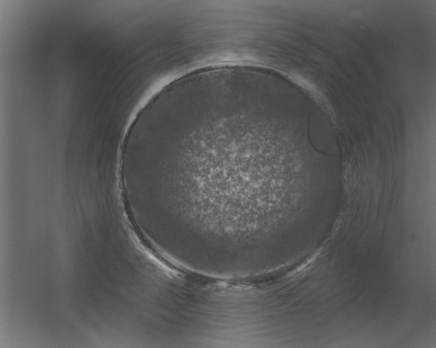 X0000056331374200509021618