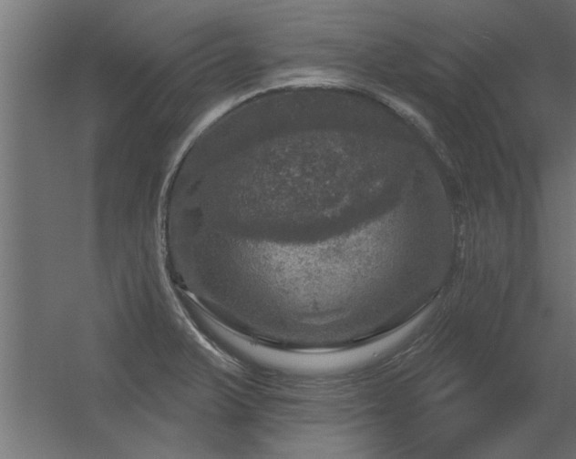 X0000056331375200509021618