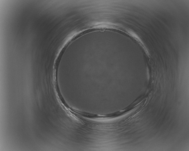 X0000056331376200509021618