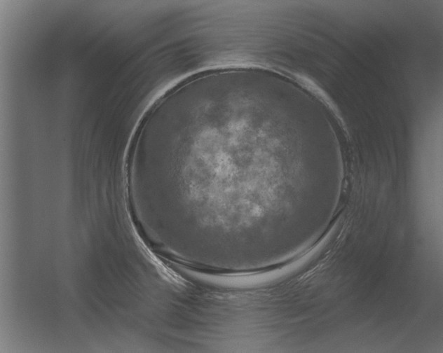 X0000056331380200509021618