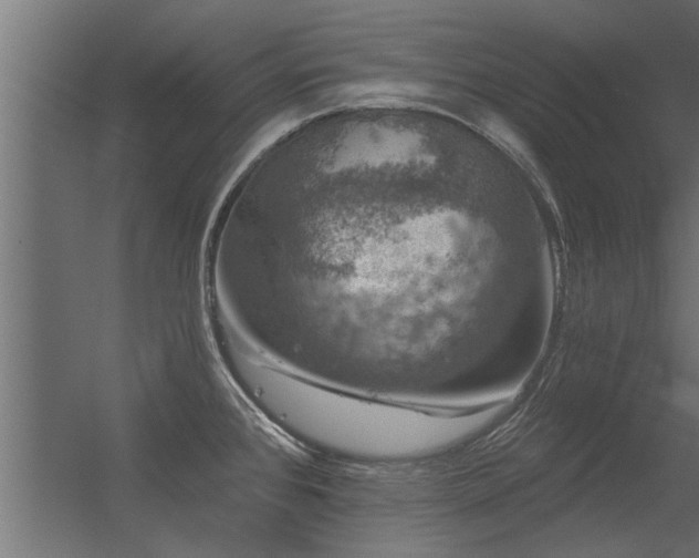 X0000056331384200509021618