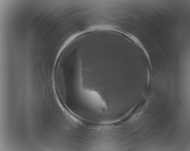 X0000056331389200509021618