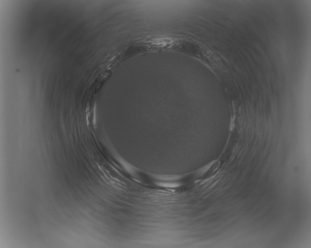 X0000056331394200509021617