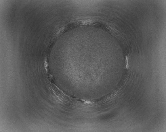 X0000056331395200509021617