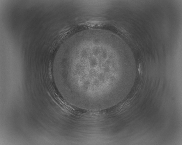 X0000056331396200509021617