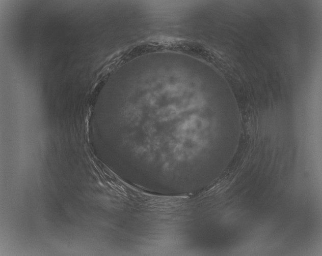 X0000056331397200509021617