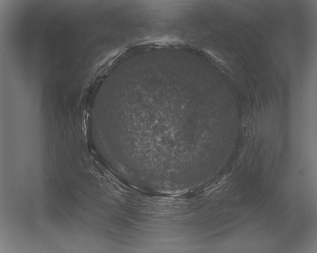 X0000056331398200509021617