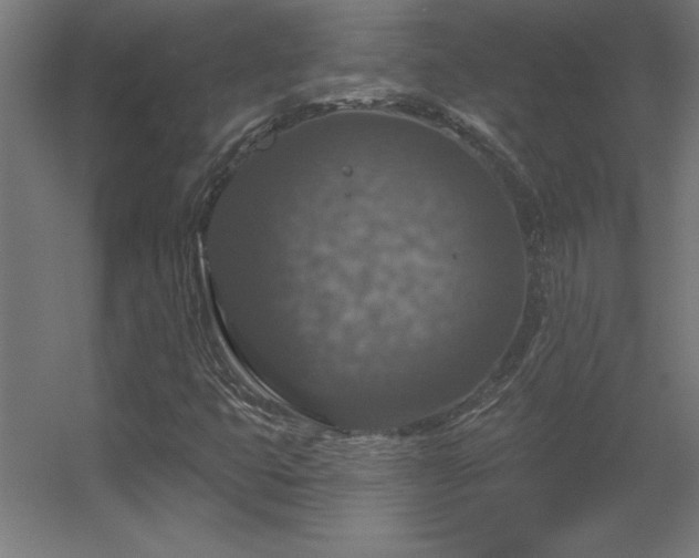 X0000056331399200509021617