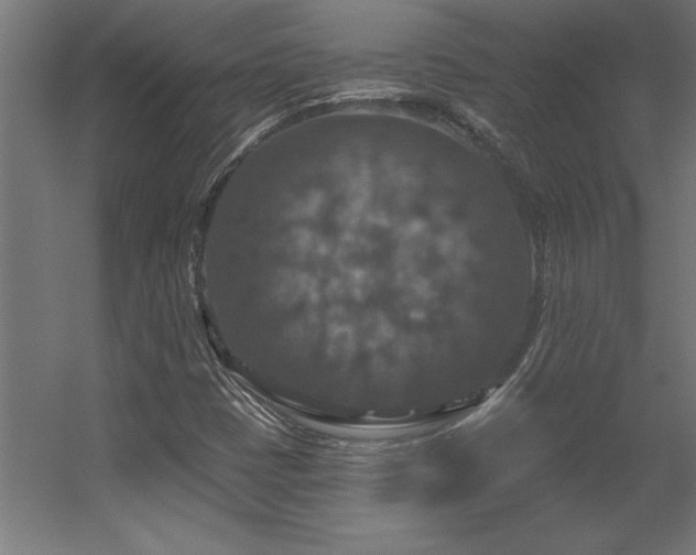 X0000056331401200509021617