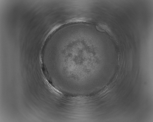 X0000056331404200509021617