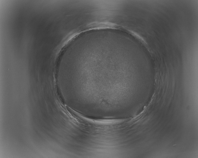 X0000056331407200509021617