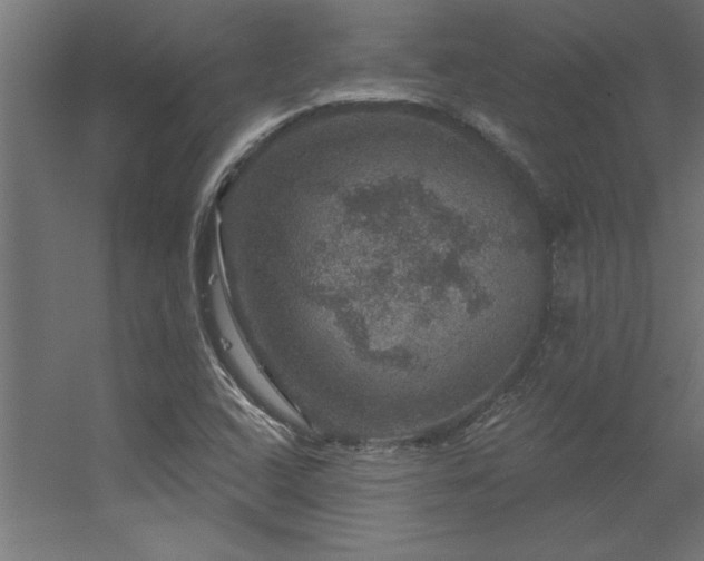 X0000056331408200509021617