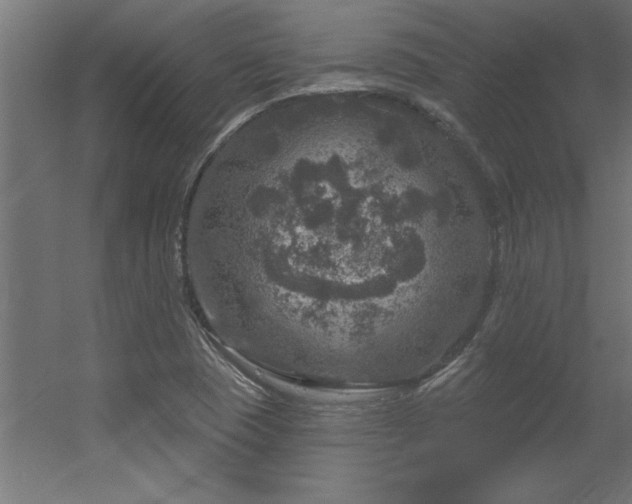 X0000056331409200509021617