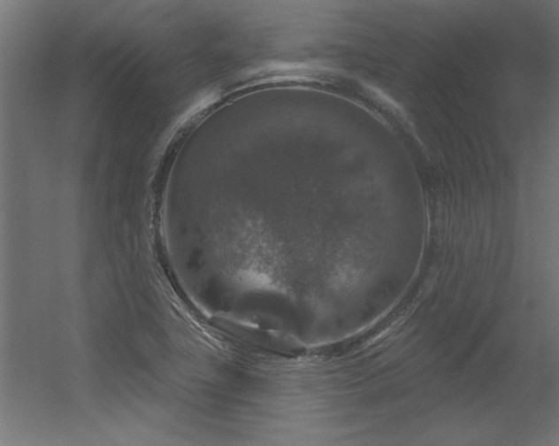 X0000056331411200509021617