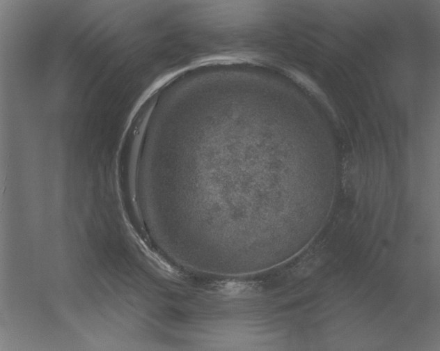 X0000056331412200509021617