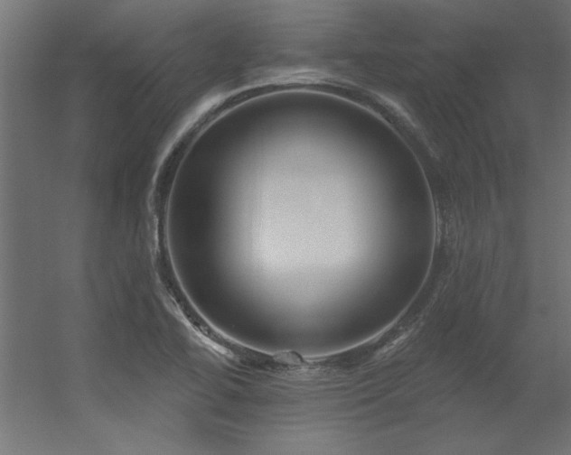 X0000056331414200509021617