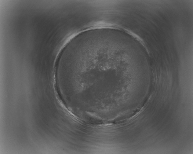 X0000056331415200509021617