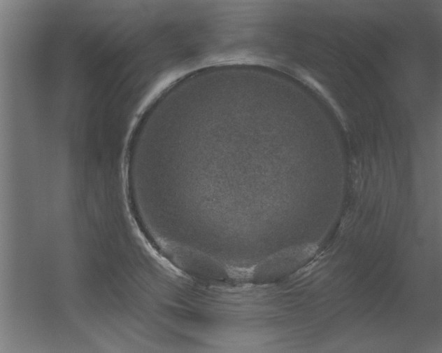 X0000056331416200509021617